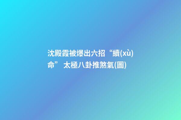 沈殿霞被爆出六招“續(xù)命” 太極八卦推煞氣(圖)